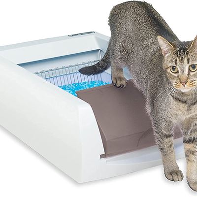 NEW PetSafe ScoopFree Self-Cleaning Cat Litter Box