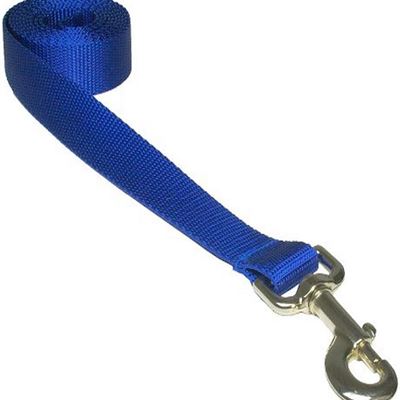NEW Sassy Dog Wear 6-Feet Blue Nylon Webbing Dog Leash, Large
