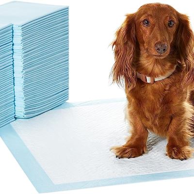 NEW Amazon Basics Dog and Puppy Pads, Leak-proof 5-Layer Pee Pads with Quick-dry