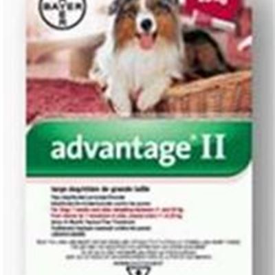 NEW Advantage II (Canine- Large) 6X2.5ml