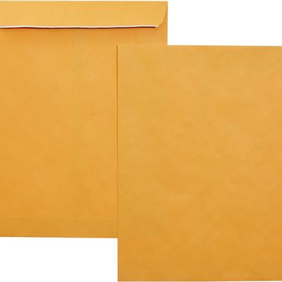 NEW Amazon Basics Catalog Mailing Envelopes, Peel & Seal, 9x12 Inch, Brown Kraft
