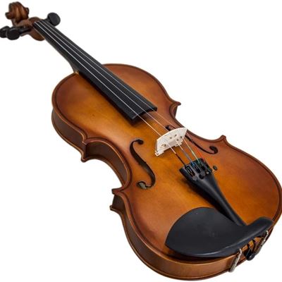 NEW Paititi 4/4 Full Size Artist-100 Student Violin Starter Kit with Brazilwood