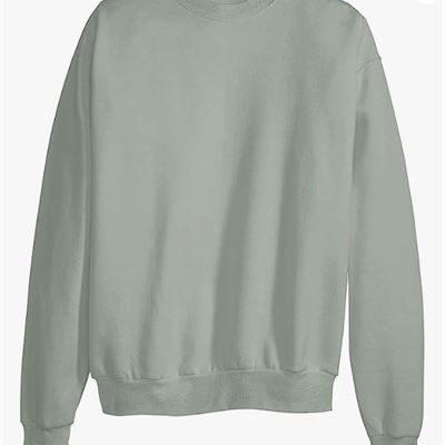 NEW Hanes Men’s EcoSmart Fleece Sweatshirt