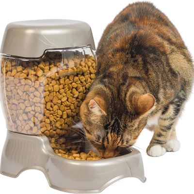 NEW Petmate Pet Cafe Feeder Dog and Cat Feeder Pearlescent Colors 3 Sizes
