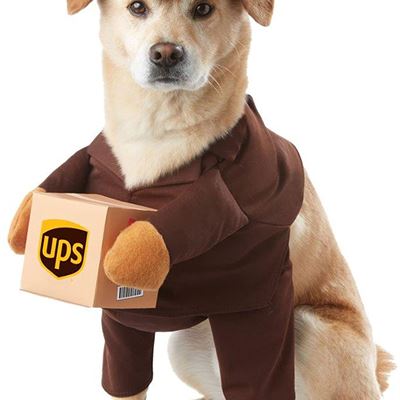 NEW Brown_UPS PAL Dog Costume, Small